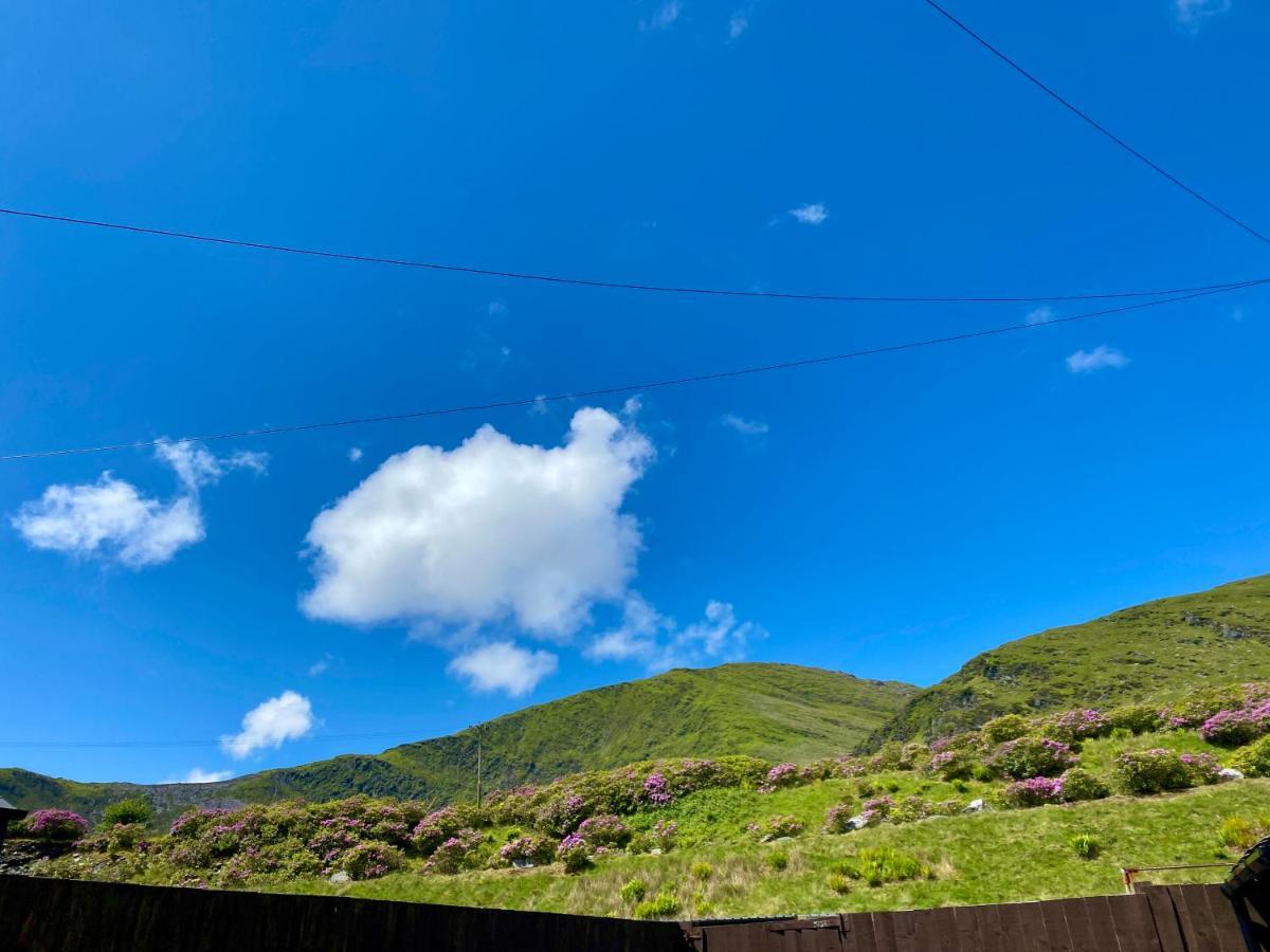 Antur Cottage Blaenau Ffestiniog ภายนอก รูปภาพ